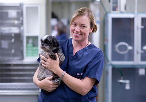Falls road animal hospital - Dr. Meghan Dirito. Dr. Meghan Dirito is a veterinarian at Falls Road Animal Hospital in Baltimore. Request Appointment. Dr. Meghan Dirito received her Bachelor of Science degree from Bucknell University and her Doctorate in Veterinary Medicine from St. George’s University in Grenada, West Indies. She loves Dermatology and Internal …